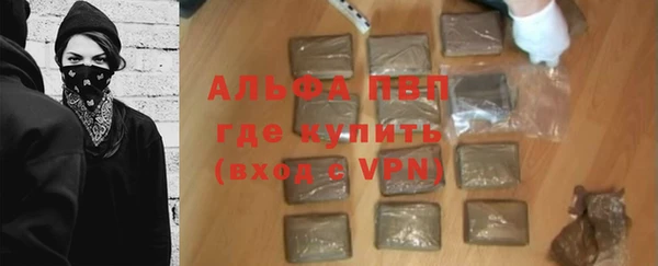 ГАЛЛЮЦИНОГЕННЫЕ ГРИБЫ Белокуриха