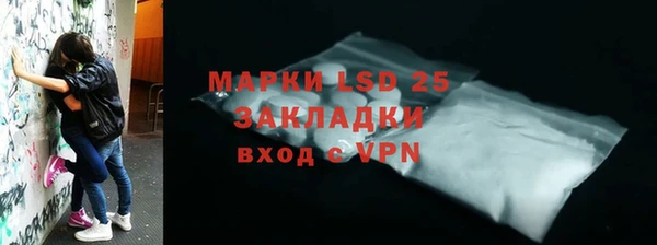 ГАЛЛЮЦИНОГЕННЫЕ ГРИБЫ Белокуриха