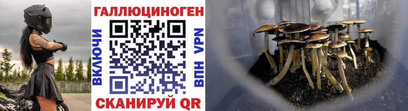 сколько стоит  ссылка на мегу зеркало  Псилоцибиновые грибы GOLDEN TEACHER  Светлый 